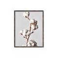 Picture of Cotton _GroupedProduct_Rectangle_Portrait_Photography _GroupedProduct_Rectangle_Portrait_Canvas_Framed_