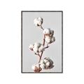 Picture of Cotton _GroupedProduct_Rectangle_Portrait_Photography _GroupedProduct_Rectangle_Portrait_Canvas_Framed_