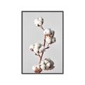 Picture of Cotton _GroupedProduct_Rectangle_Portrait_Photography _GroupedProduct_Rectangle_Portrait_Canvas_Framed_