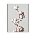 Picture of Cotton _GroupedProduct_Rectangle_Portrait_Photography _GroupedProduct_Rectangle_Portrait_Canvas_Framed_