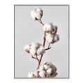 Picture of Cotton _GroupedProduct_Rectangle_Portrait_Photography _GroupedProduct_Rectangle_Portrait_Canvas_Framed_