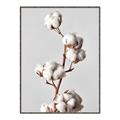 Picture of Cotton _GroupedProduct_Rectangle_Portrait_Photography _GroupedProduct_Rectangle_Portrait_Canvas_Framed_