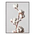 Picture of Cotton _GroupedProduct_Rectangle_Portrait_Photography _GroupedProduct_Rectangle_Portrait_Canvas_Framed_