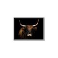 Picture of Dixie, the Bull   _GroupedProduct_Rectangle_Landscape_Photography _GroupedProduct_Rectangle_Landscape_Canvas_Framed_