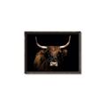 Picture of Dixie, the Bull   _GroupedProduct_Rectangle_Landscape_Photography _GroupedProduct_Rectangle_Landscape_Canvas_Framed_