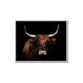 Picture of Dixie, the Bull   _GroupedProduct_Rectangle_Landscape_Photography _GroupedProduct_Rectangle_Landscape_Canvas_Framed_