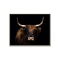 Picture of Dixie, the Bull   _GroupedProduct_Rectangle_Landscape_Photography _GroupedProduct_Rectangle_Landscape_Canvas_Framed_