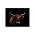 Picture of Dixie, the Bull   _GroupedProduct_Rectangle_Landscape_Photography _GroupedProduct_Rectangle_Landscape_Canvas_Framed_