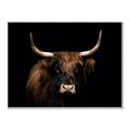 Picture of Dixie, the Bull   _GroupedProduct_Rectangle_Landscape_Photography _GroupedProduct_Rectangle_Landscape_Canvas_Framed_