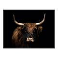 Picture of Dixie, the Bull   _GroupedProduct_Rectangle_Landscape_Photography _GroupedProduct_Rectangle_Landscape_Canvas_Framed_
