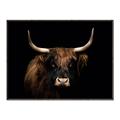 Picture of Dixie, the Bull   _GroupedProduct_Rectangle_Landscape_Photography _GroupedProduct_Rectangle_Landscape_Canvas_Framed_
