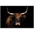 Picture of Dixie, the Bull   _GroupedProduct_Rectangle_Landscape_Photography _GroupedProduct_Rectangle_Landscape_Canvas_Framed_