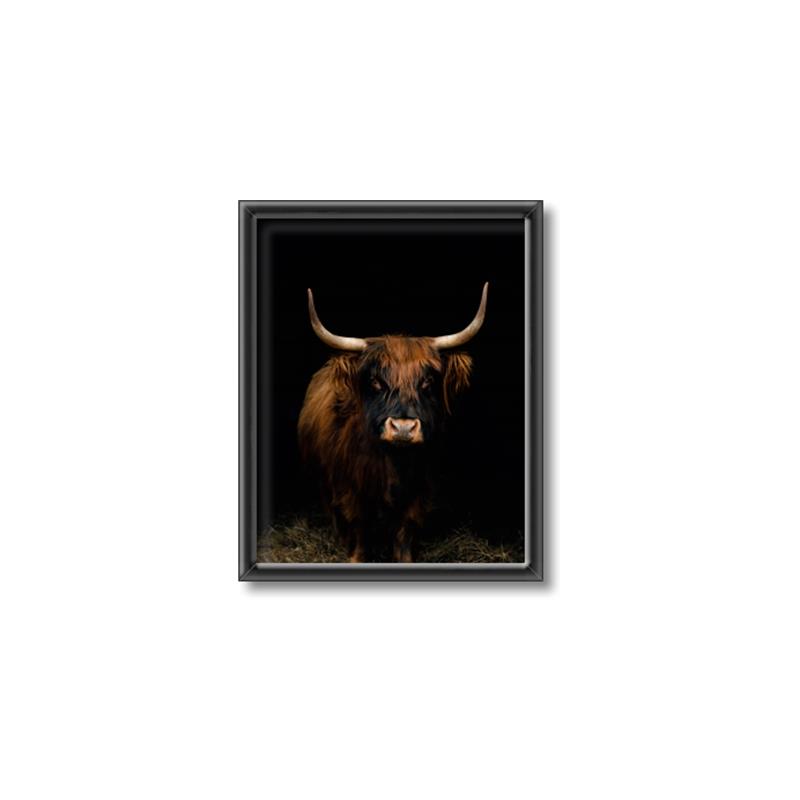 Picture of Dixie, the Bull II _GroupedProduct_Rectangle_Portrait_Photography _GroupedProduct_Rectangle_Portrait_Canvas_Framed_
