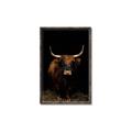 Picture of Dixie, the Bull II _GroupedProduct_Rectangle_Portrait_Photography _GroupedProduct_Rectangle_Portrait_Canvas_Framed_