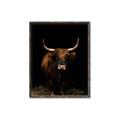 Picture of Dixie, the Bull II _GroupedProduct_Rectangle_Portrait_Photography _GroupedProduct_Rectangle_Portrait_Canvas_Framed_