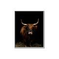 Picture of Dixie, the Bull II _GroupedProduct_Rectangle_Portrait_Photography _GroupedProduct_Rectangle_Portrait_Canvas_Framed_