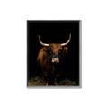 Picture of Dixie, the Bull II _GroupedProduct_Rectangle_Portrait_Photography _GroupedProduct_Rectangle_Portrait_Canvas_Framed_