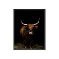 Picture of Dixie, the Bull II _GroupedProduct_Rectangle_Portrait_Photography _GroupedProduct_Rectangle_Portrait_Canvas_Framed_