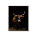 Picture of Dixie, the Bull II _GroupedProduct_Rectangle_Portrait_Photography _GroupedProduct_Rectangle_Portrait_Canvas_Framed_