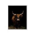 Picture of Dixie, the Bull II _GroupedProduct_Rectangle_Portrait_Photography _GroupedProduct_Rectangle_Portrait_Canvas_Framed_