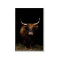 Picture of Dixie, the Bull II _GroupedProduct_Rectangle_Portrait_Photography _GroupedProduct_Rectangle_Portrait_Canvas_Framed_