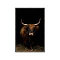 Picture of Dixie, the Bull II _GroupedProduct_Rectangle_Portrait_Photography _GroupedProduct_Rectangle_Portrait_Canvas_Framed_