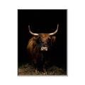 Picture of Dixie, the Bull II _GroupedProduct_Rectangle_Portrait_Photography _GroupedProduct_Rectangle_Portrait_Canvas_Framed_