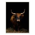 Picture of Dixie, the Bull II _GroupedProduct_Rectangle_Portrait_Photography _GroupedProduct_Rectangle_Portrait_Canvas_Framed_