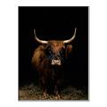 Picture of Dixie, the Bull II _GroupedProduct_Rectangle_Portrait_Photography _GroupedProduct_Rectangle_Portrait_Canvas_Framed_