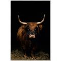 Picture of Dixie, the Bull II _GroupedProduct_Rectangle_Portrait_Photography _GroupedProduct_Rectangle_Portrait_Canvas_Framed_