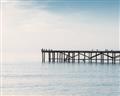 Picture of Birds on the Pier _GroupedProduct_Rectangle_Landscape_Photography _GroupedProduct_Rectangle_Landscape_Unframed_Print_Only_