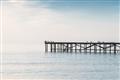 Picture of Birds on the Pier _GroupedProduct_Rectangle_Landscape_Photography _GroupedProduct_Rectangle_Landscape_Unframed_Print_Only_