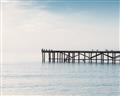 Picture of Birds on the Pier _GroupedProduct_Rectangle_Landscape_Photography _GroupedProduct_Rectangle_Landscape_Unframed_Print_Only_