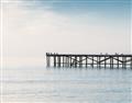 Picture of Birds on the Pier _GroupedProduct_Rectangle_Landscape_Photography _GroupedProduct_Rectangle_Landscape_Unframed_Print_Only_