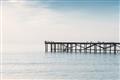 Picture of Birds on the Pier _GroupedProduct_Rectangle_Landscape_Photography _GroupedProduct_Rectangle_Landscape_Unframed_Print_Only_