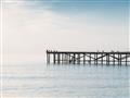 Picture of Birds on the Pier _GroupedProduct_Rectangle_Landscape_Photography _GroupedProduct_Rectangle_Landscape_Unframed_Print_Only_