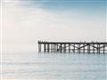 Picture of Birds on the Pier _GroupedProduct_Rectangle_Landscape_Photography _GroupedProduct_Rectangle_Landscape_Unframed_Print_Only_