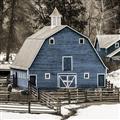 Picture of Blue Barn  _GroupedProduct_Square_Photography _GroupedProduct_Square_Unframed_Print_Only_