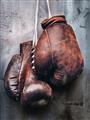 Picture of Boxing Gloves _GroupedProduct_Rectangle_Portrait_Photography _GroupedProduct_Rectangle_Portrait_Unframed_Print_Only_