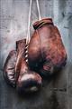 Picture of Boxing Gloves _GroupedProduct_Rectangle_Portrait_Photography _GroupedProduct_Rectangle_Portrait_Unframed_Print_Only_