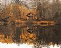 Picture of Cabin in the Woods  _GroupedProduct_Rectangle_Landscape_Unframed_Print_Only_