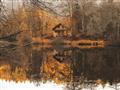 Picture of Cabin in the Woods  _GroupedProduct_Rectangle_Landscape_Unframed_Print_Only_