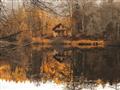 Picture of Cabin in the Woods  _GroupedProduct_Rectangle_Landscape_Unframed_Print_Only_