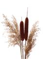 Picture of Cattails  _GroupedProduct_Rectangle_Portrait_Photography _GroupedProduct_Rectangle_Portrait_Unframed_Print_Only_