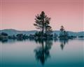 Picture of Cotton Candy  Skies  _GroupedProduct_Rectangle_Landscape_Photography _GroupedProduct_Rectangle_Landscape_Unframed_Print_Only_