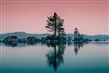 Picture of Cotton Candy  Skies  _GroupedProduct_Rectangle_Landscape_Photography _GroupedProduct_Rectangle_Landscape_Unframed_Print_Only_
