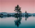 Picture of Cotton Candy  Skies  _GroupedProduct_Rectangle_Landscape_Photography _GroupedProduct_Rectangle_Landscape_Unframed_Print_Only_