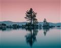 Picture of Cotton Candy  Skies  _GroupedProduct_Rectangle_Landscape_Photography _GroupedProduct_Rectangle_Landscape_Unframed_Print_Only_