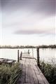 Picture of Dock of the Bay  _GroupedProduct_Rectangle_Portrait_Photography _GroupedProduct_Rectangle_Portrait_Unframed_Print_Only_