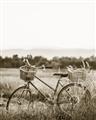 Picture of Bicycle Basket _GroupedProduct_Rectangle_Portrait_Photography _GroupedProduct_Rectangle_Portrait_Unframed_Print_Only_